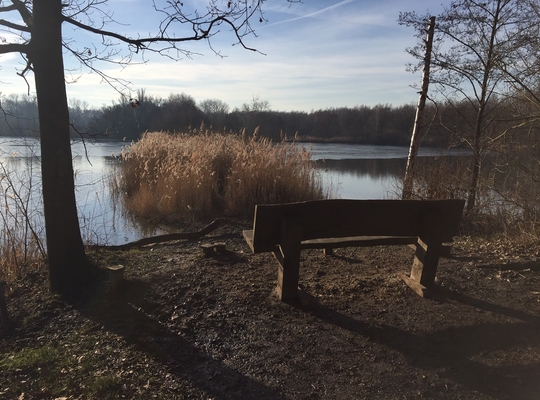Walenhoek Walenhoek